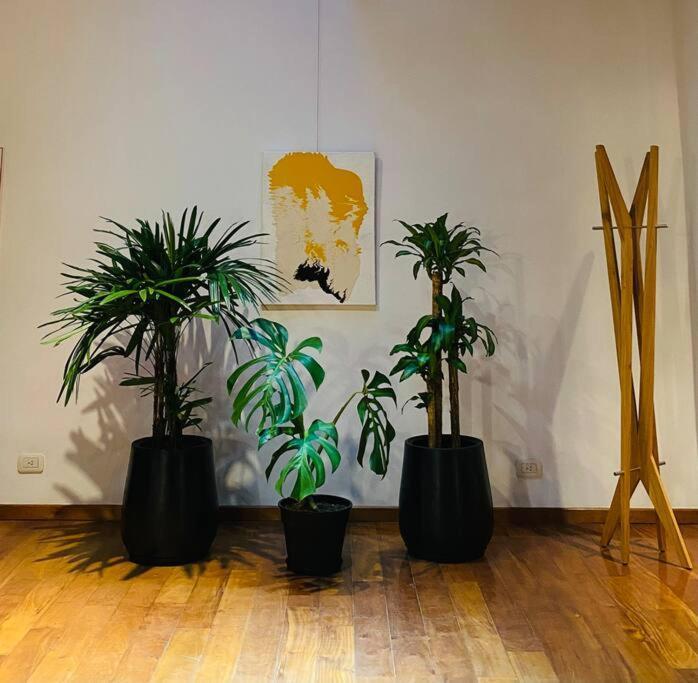 Arts Loft, A Estrenar! Buenos Aires Apartment Exterior foto